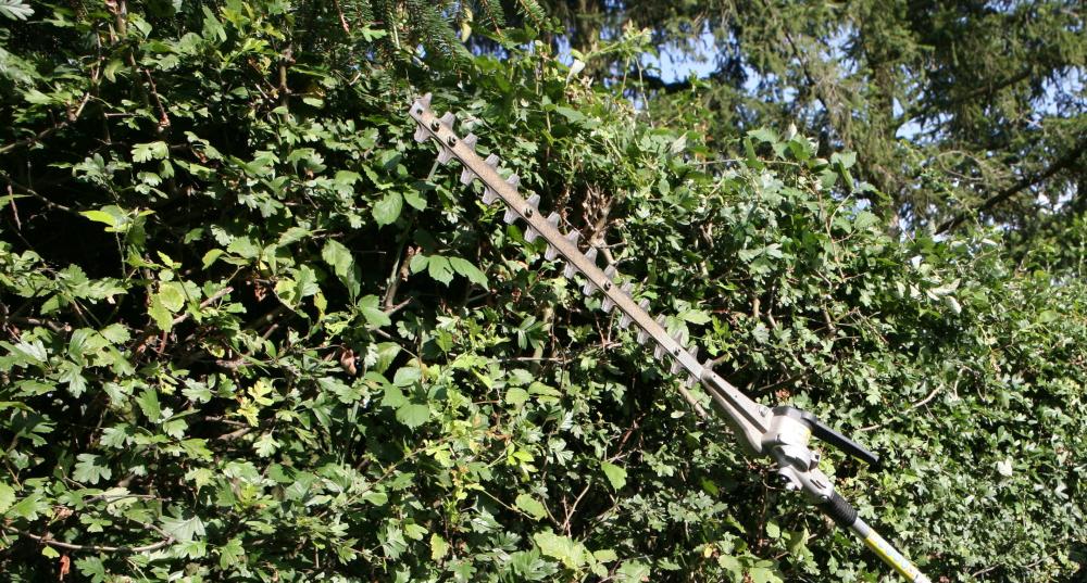 Tondeuses débroussailleuse à La Bastide-Clairence